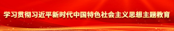 操小骚逼穴视频学习贯彻习近平新时代中国特色社会主义思想主题教育